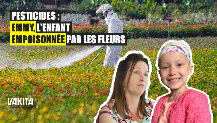 Pesticides : Emmy, l'enfant contaminée par les fleurs