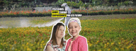 Capture d'écran Pesticides : Emmy, l'enfant contaminée par les fleurs