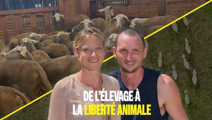 Ils disent adieu &agrave; l&rsquo;exploitation animale