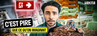 Capture d'&eacute;cran &Yuml;nsect : aux origines d'un fiasco industriel 