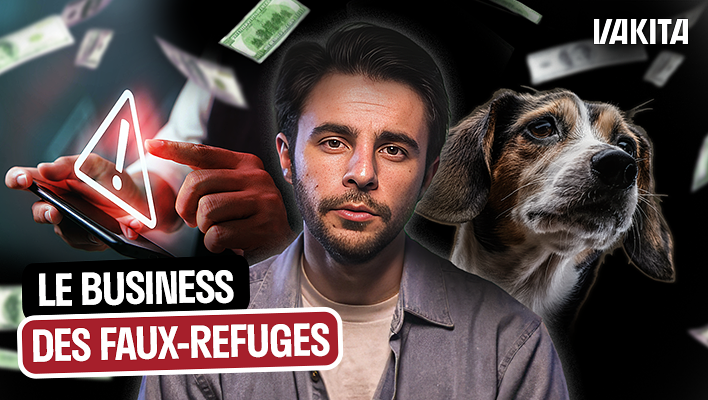L'arnaqueur aux faux refuges