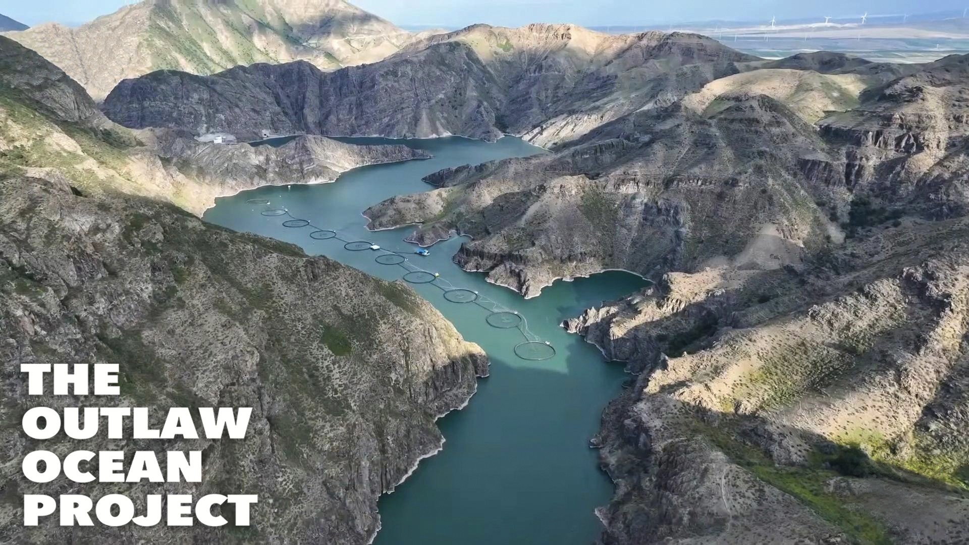 Les co&ucirc;ts cach&eacute;s de l'aquaculture : &eacute;pisode 4