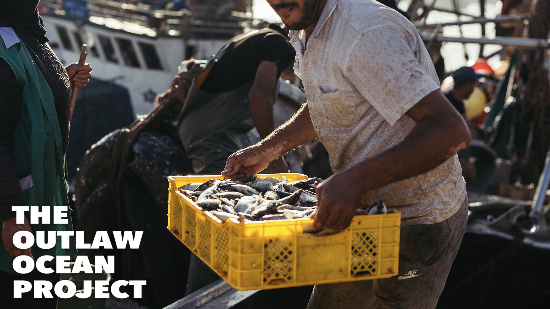 Les co&ucirc;ts cach&eacute;s de l'aquaculture : &eacute;pisode 1